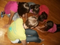 Because we wish to have fun on this camp...