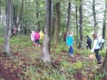 We are searching for letters in the nature...