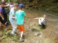 Swimming or sinking - that's the question!