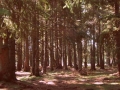 Wo haben sich unsere Wanderer versteckt?