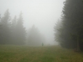 Vom Nebel verschluckt
