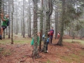 Im Wald