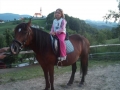 ježa konj