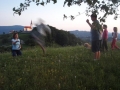 Igre na travi