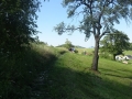 Hiking