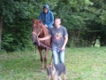 Horse7