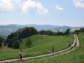 Guzaj13