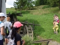 Mill