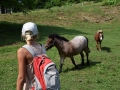 Ponies