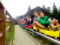 sledging