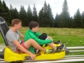Sledges