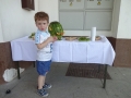 Gregor