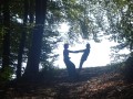 Forest fun
