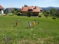 Water fight