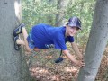 Forest fun