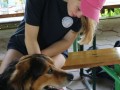 Animal lovers