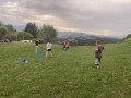 A spot of cricket, anyone?