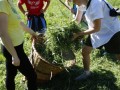 Manual labour
