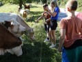 Moo-ving on