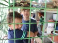 In the dog house!