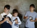 Little softies
