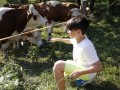 A flower for a cow?