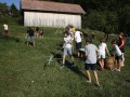 Raking it in