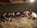 A night in the hay