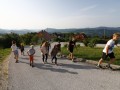 Morning walk