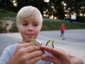 Mantis master