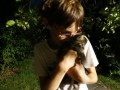 Cat love