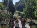 Walking in nature