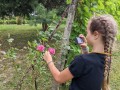Flower shot
