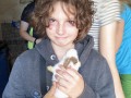 Getting to know the bunnies