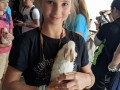 Feeding the bunnies