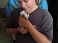Hugging the tiny rabbits