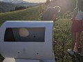 The evening sun