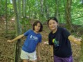 Forest photo