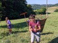Carrying the grass to the bunnies