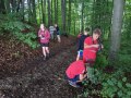 Forest fun
