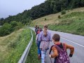 Walking to the farm