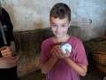 Petting rabbits