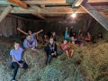 In the hay