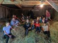 In the hay