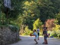 Street basket