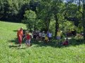 Cutting grass