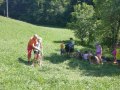Cutting grass