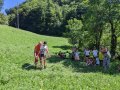 Cutting grass