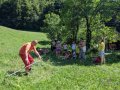 Cutting grass