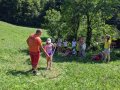 Cutting grass
